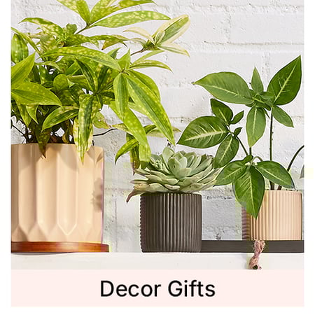 Celebrate Her, Every Way