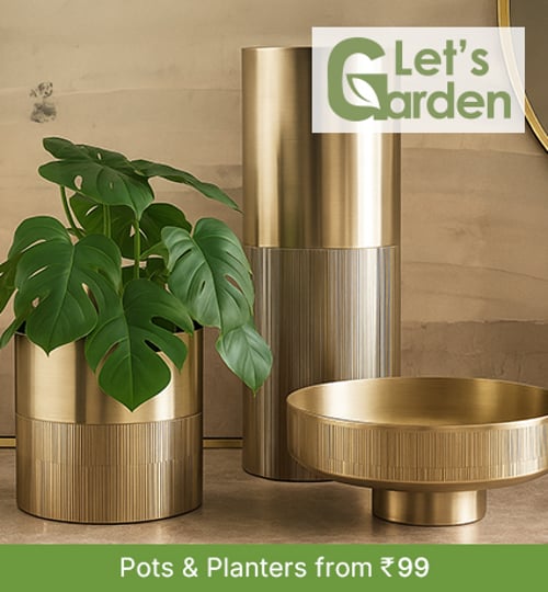 Let's Garden - Up to 60% off