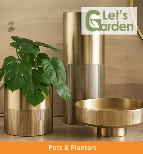 Let’s Garden – Up to 60% off