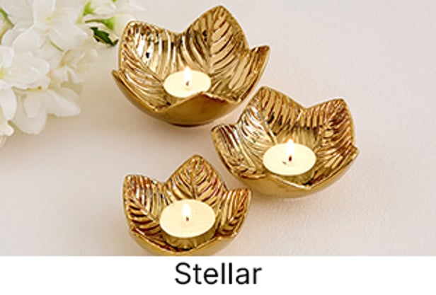 Explore More Collections