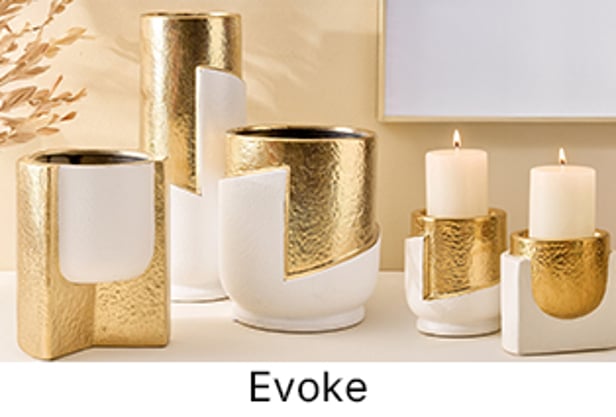 Explore More Collections